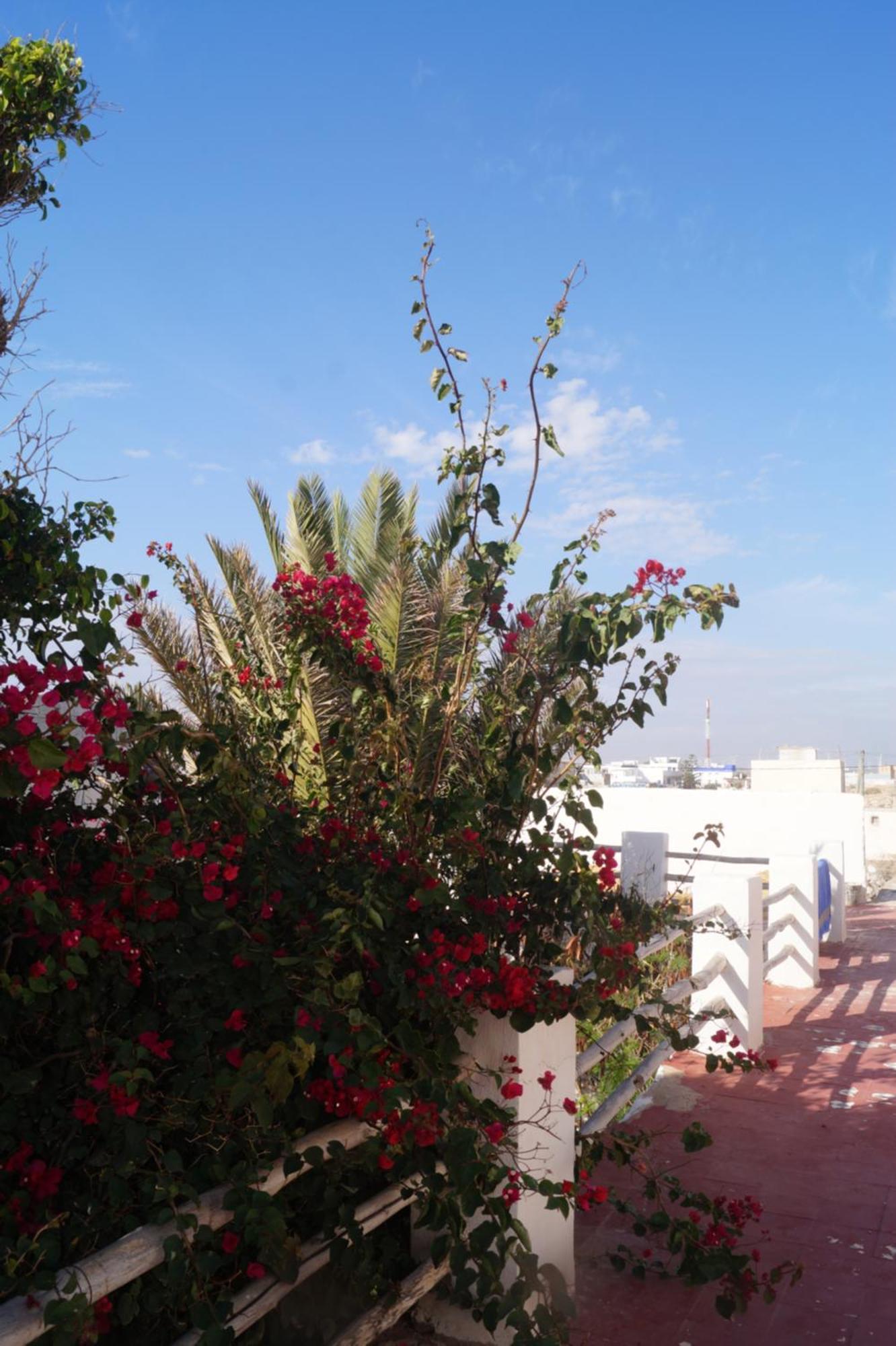 Sidi Kaouki Perla Hotel Exterior foto