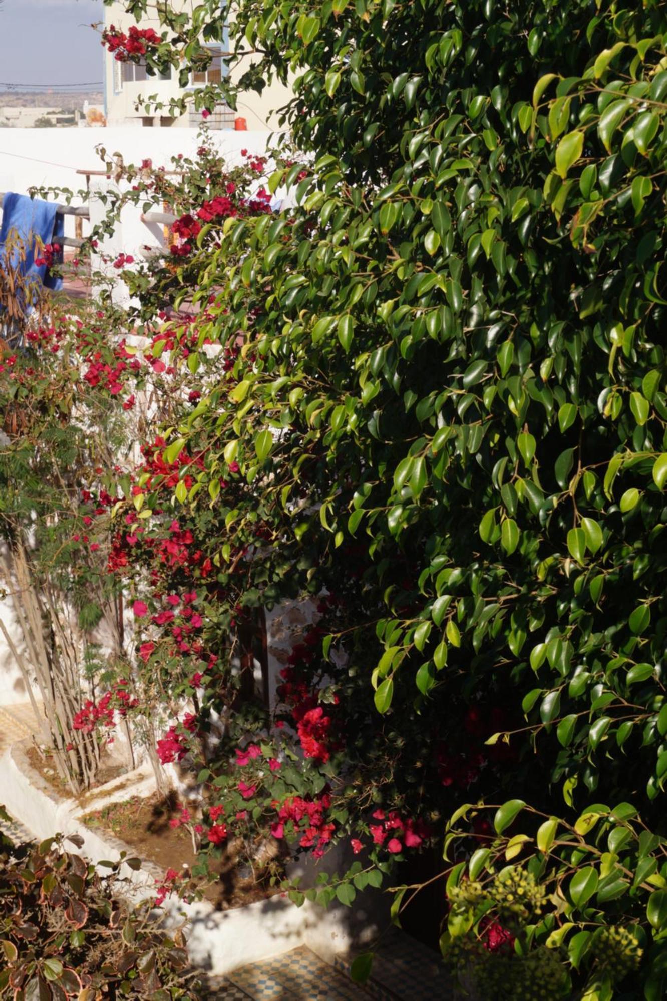Sidi Kaouki Perla Hotel Exterior foto